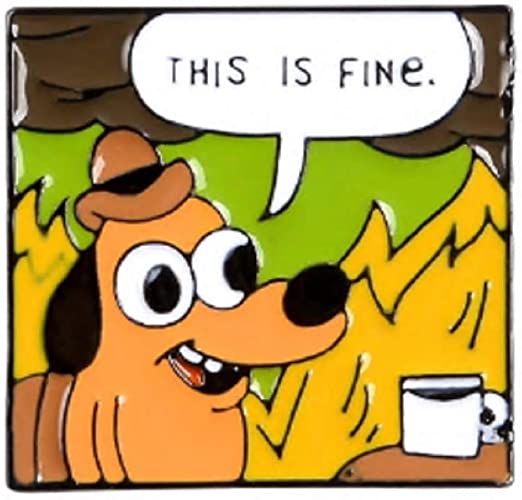 Meme perrito en llamas 'this is fine'