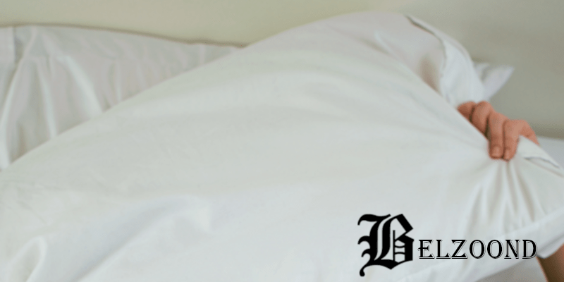 el almohadón de plumas resumen y reseña