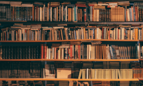 El hombre del&nbsp;castillo