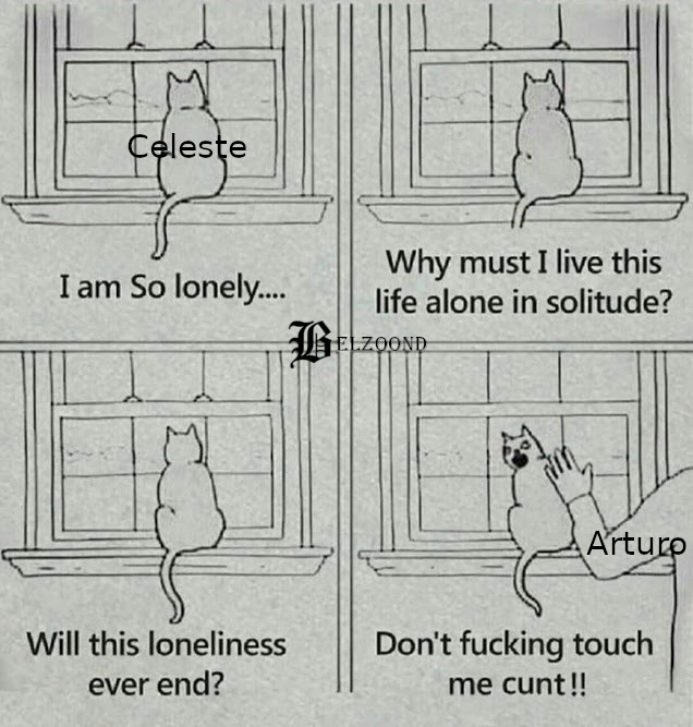 meme de celeste, resumen de el fistol del diablo